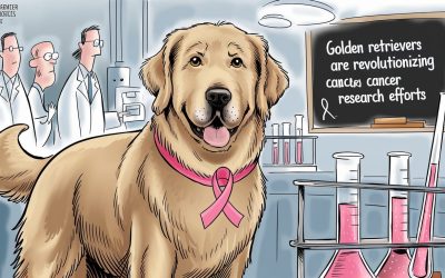 How Golden Retrievers Are Revolutionizing Cancer Research